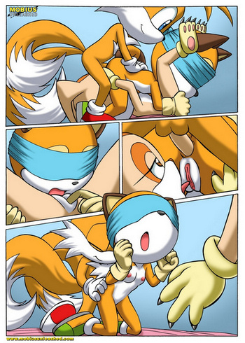 Cover of Sonic Project XXX 2.5